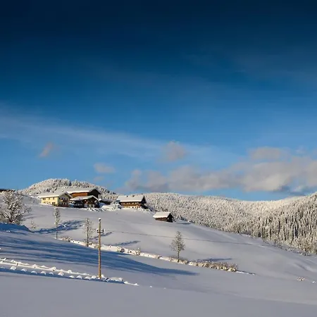 Parchenbauernhof Horner 2*
