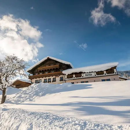 Πανσιόν Parchenbauernhof Horner 2*